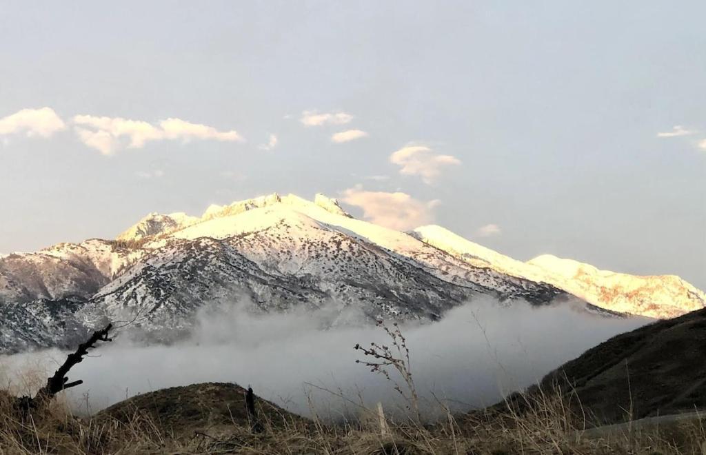 Stay & Play In The Little Switzerland Of Utah!!! درابر المظهر الخارجي الصورة