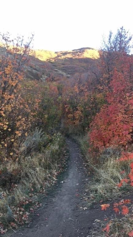 Stay & Play In The Little Switzerland Of Utah!!! درابر المظهر الخارجي الصورة